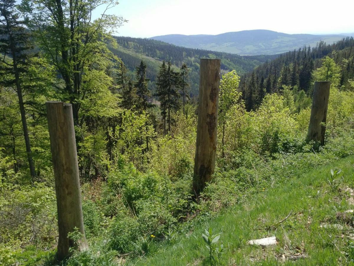 Apartmány Sport Dolní Morava Kültér fotó